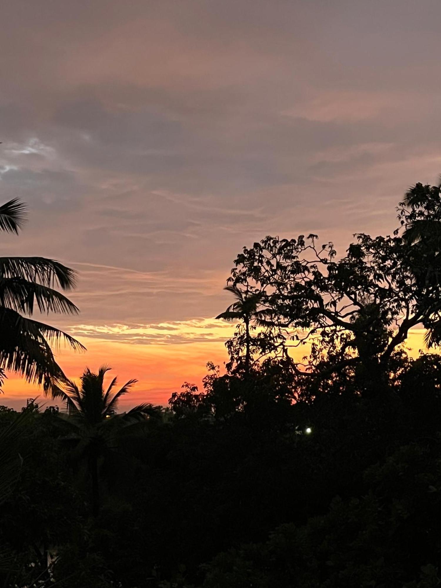 Green Nest Hostel, Baga- North Goa Arpora Kültér fotó
